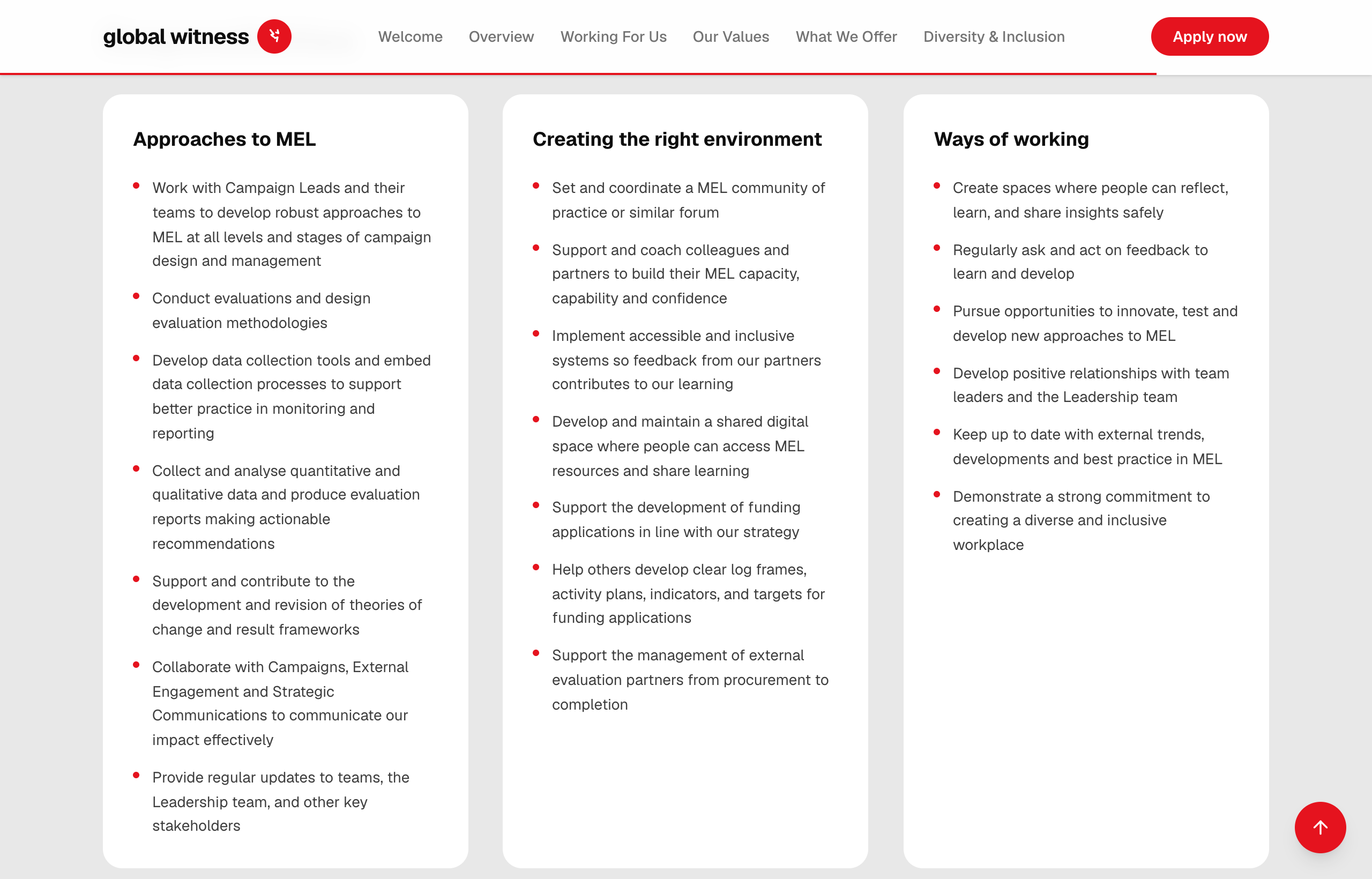 Global Witness microsite — Job Description and Responsibilities