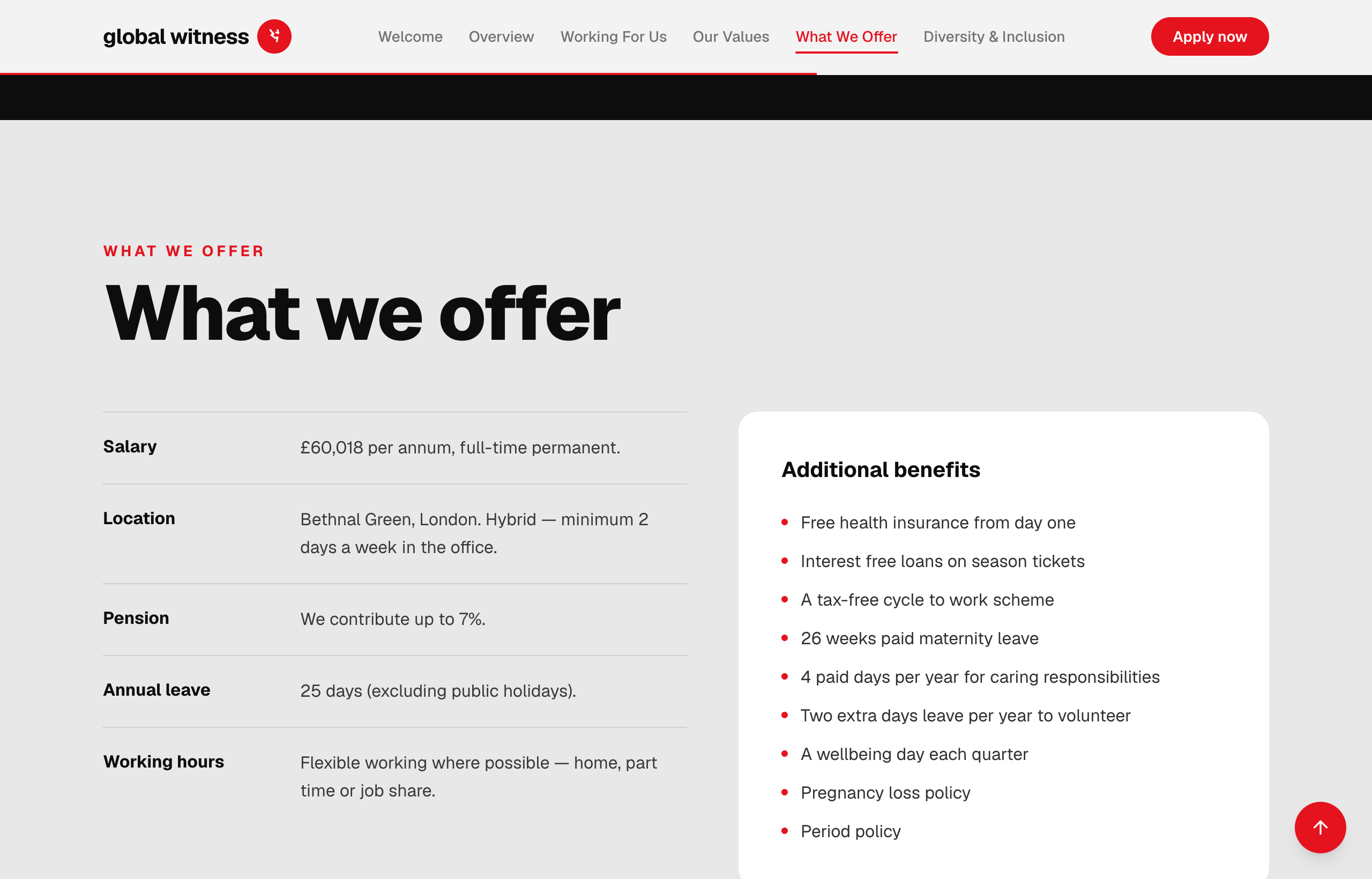 Global Witness microsite — What we offer