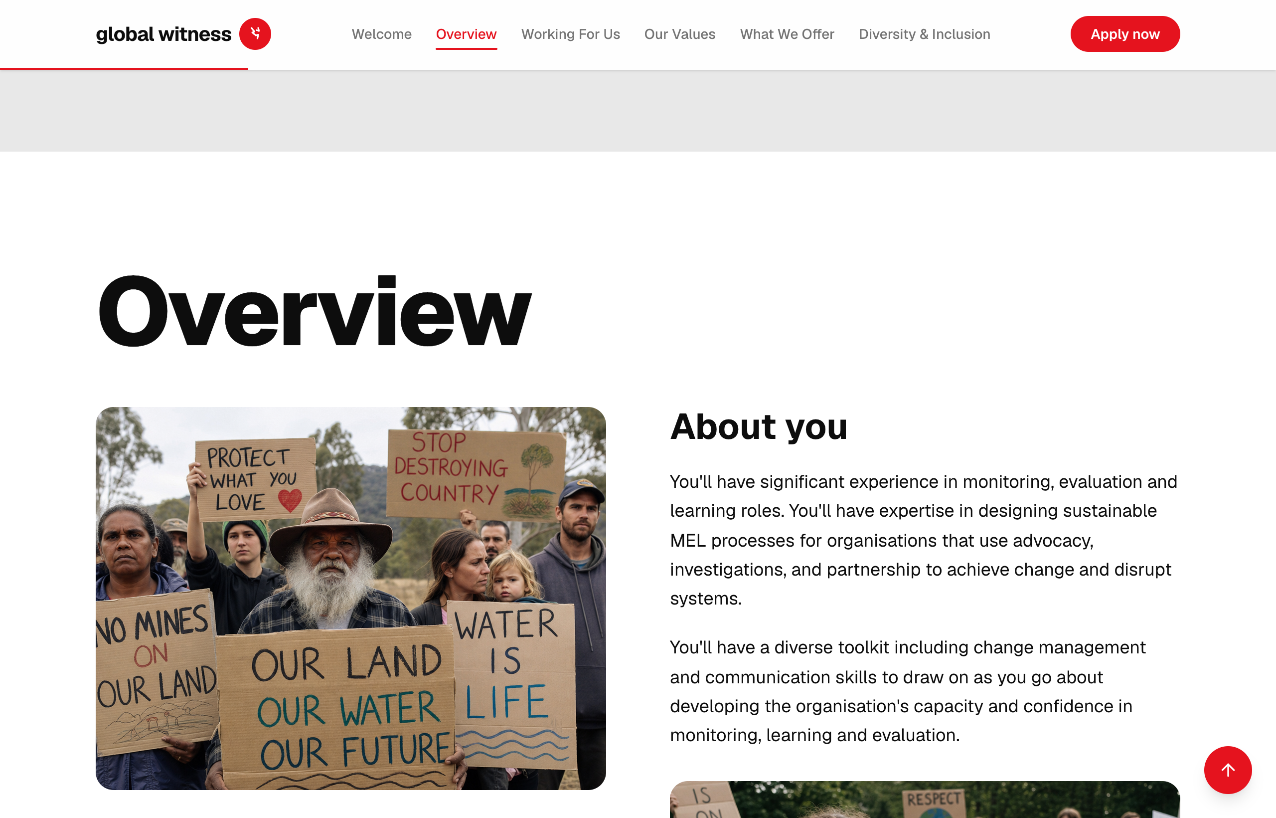 Global Witness microsite — Overview and About you